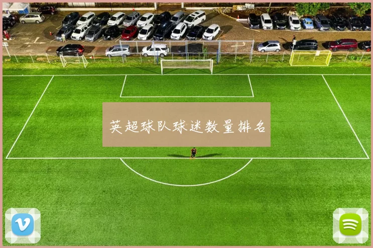 英超球队球迷数量排名