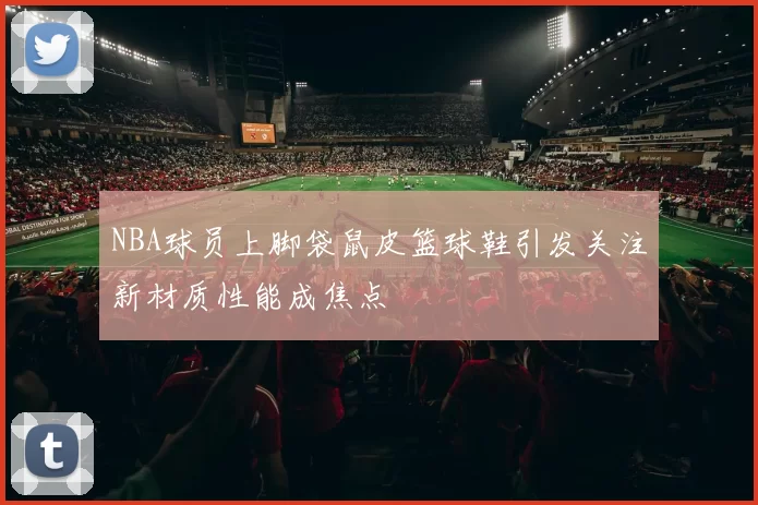 NBA球员上脚袋鼠皮篮球鞋引发关注新材质性能成焦点