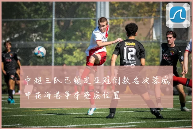 中超三队已锁定亚冠倒数名次蓉城申花海港争夺垫底位置