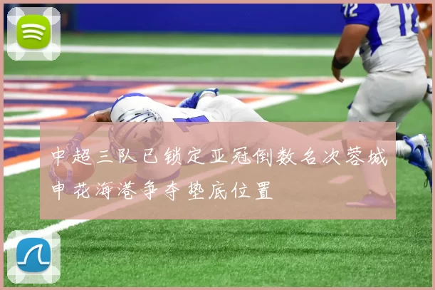 中超三队已锁定亚冠倒数名次蓉城申花海港争夺垫底位置