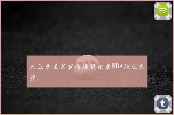 大卫李正式宣布退役结束NBA职业生涯