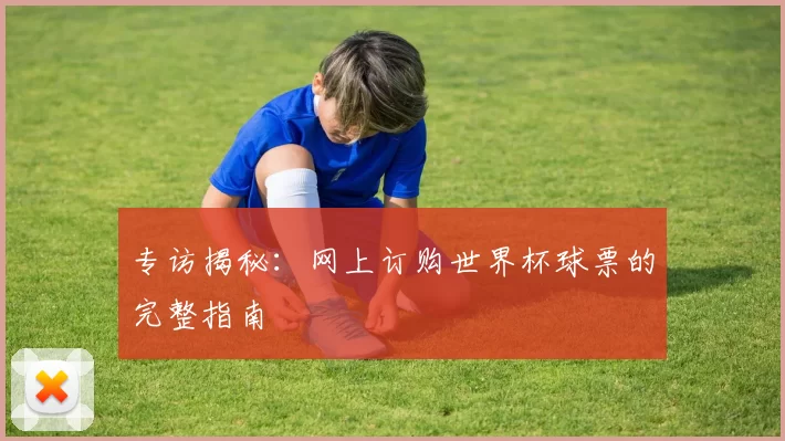 专访揭秘:网上订购世界杯球票的完整指南