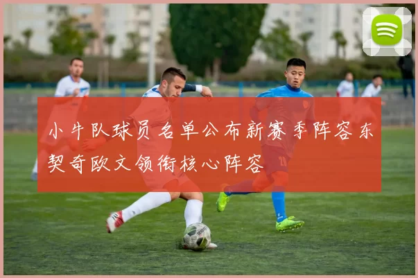 小牛队球员名单公布新赛季阵容东契奇欧文领衔核心阵容