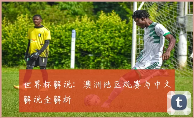 世界杯解说:澳洲地区观赛与中文解说全解析