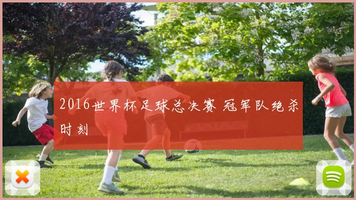 2016世界杯足球总决赛 冠军队绝杀时刻