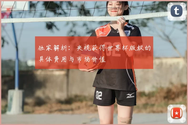 独家解析:央视获得世界杯版权的具体费用与市场价值