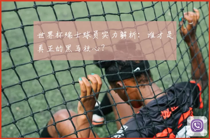 世界杯瑞士球员实力解析:谁才是真正的黑马核心?