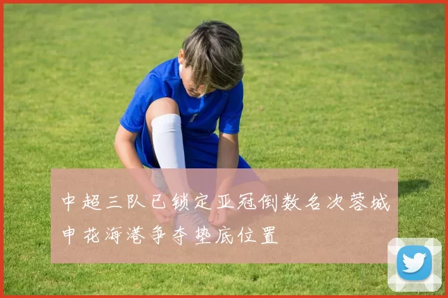 中超三队已锁定亚冠倒数名次蓉城申花海港争夺垫底位置