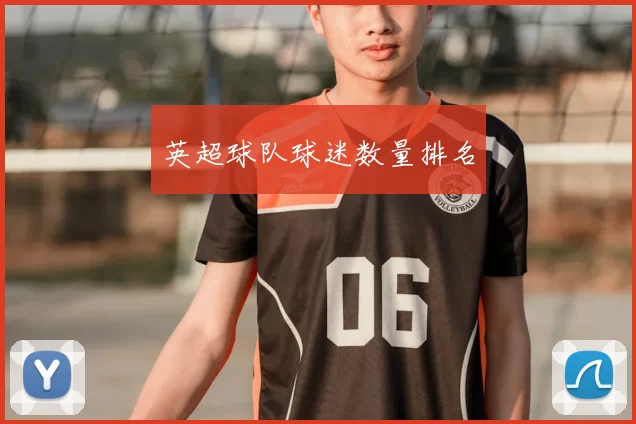 英超球队球迷数量排名