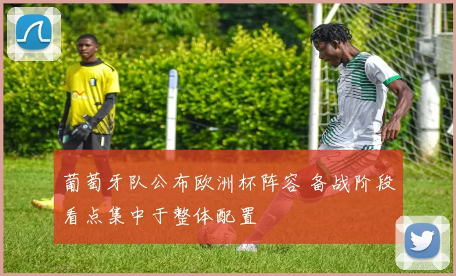 葡萄牙队公布欧洲杯阵容 备战阶段看点集中于整体配置