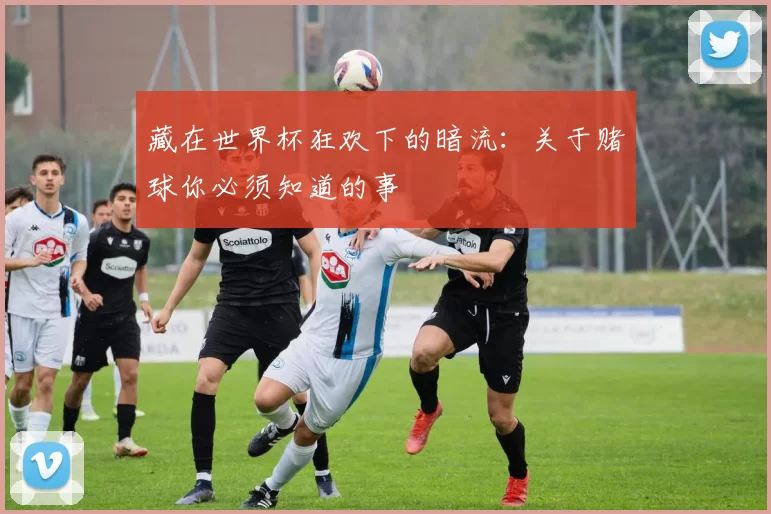 藏在世界杯狂欢下的暗流：关于赌球你必须知道的事