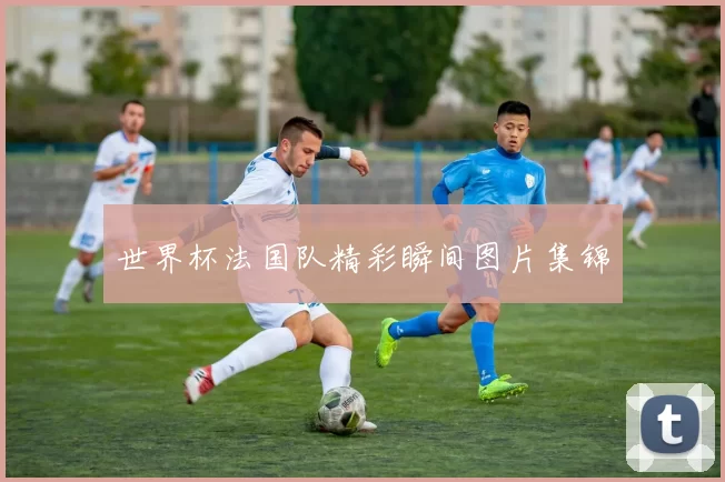 世界杯法国队精彩瞬间图片集锦