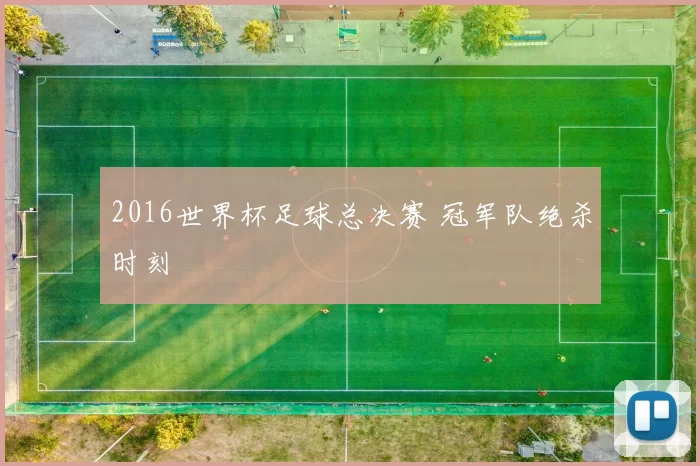 2016世界杯足球总决赛 冠军队绝杀时刻