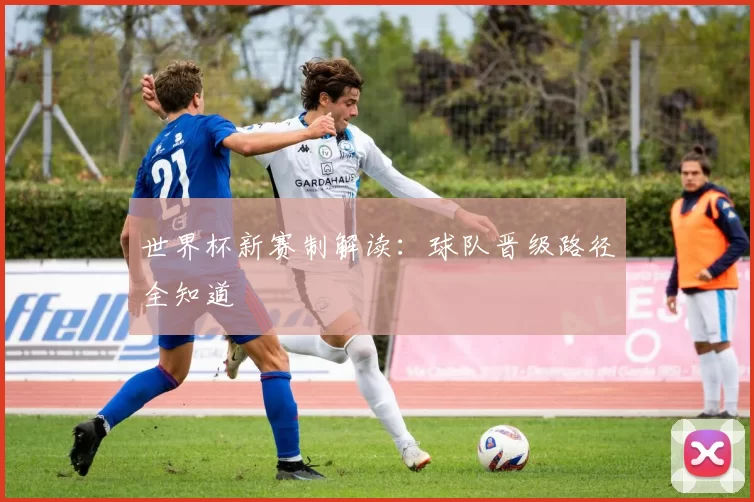 世界杯新赛制解读:球队晋级路径全知道